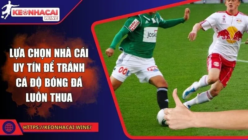 Lựa chọn nhà cái uy tín để tránh cá độ bóng đá luôn thua