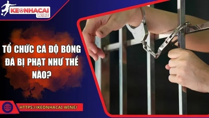 Tổ Chức Cá Độ Bóng Đá Bị Phạt Như Thế Nào? Điều Cần Nắm